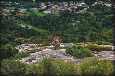 Scenic view of landscape