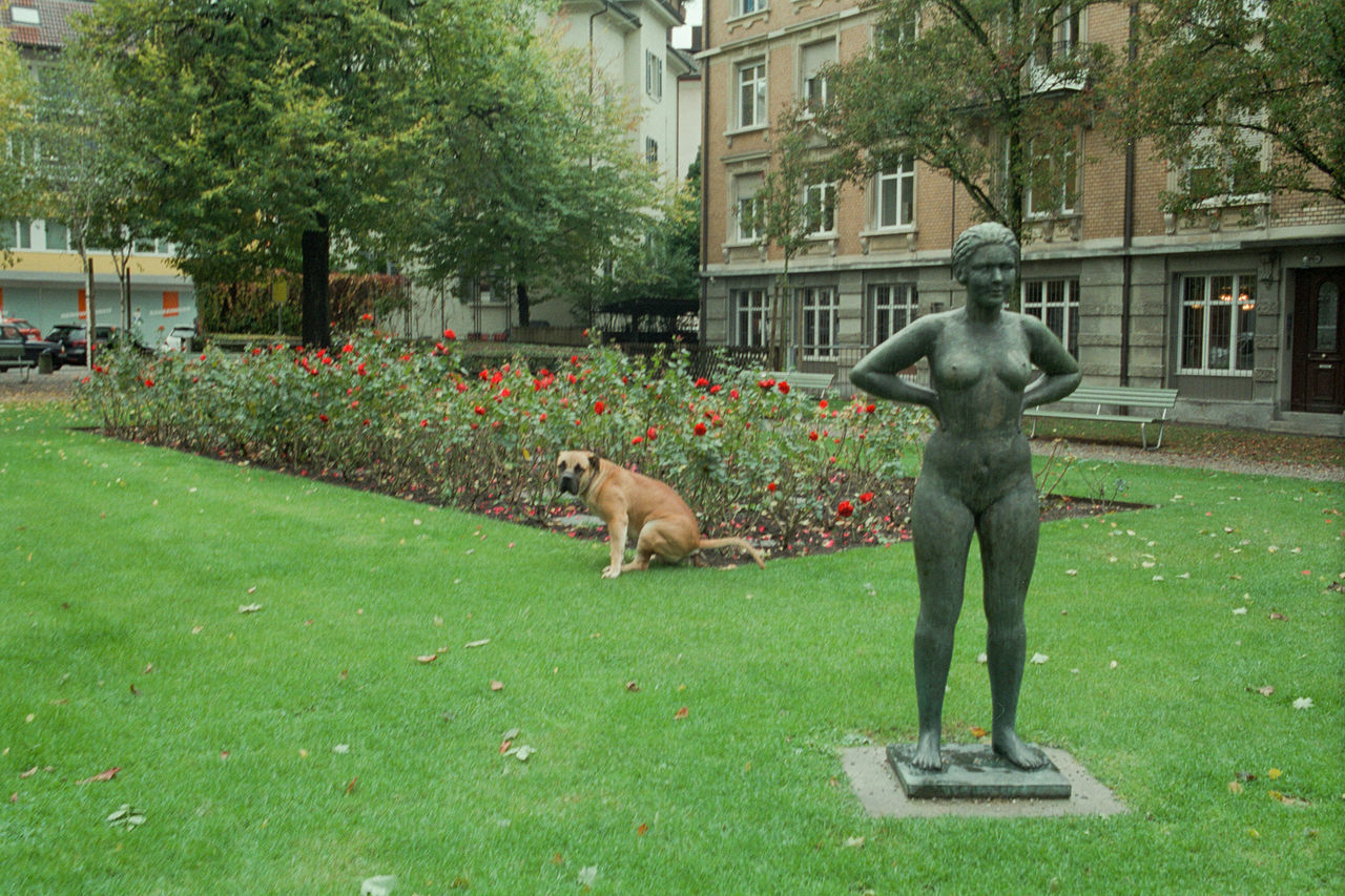 LION STATUE IN PARK