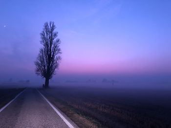 Road by trees on field against sky during foggy weather