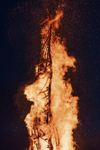 Close-up of wood burning against black background