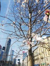 Low angle view of bare tree and buildings against sky