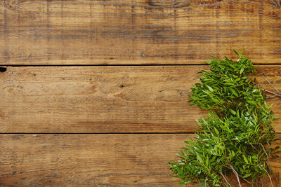 High angle view of vegetables on wooden table