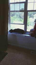 View of window
