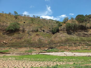 Scenic view of landscape against sky