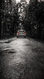 Cars on road in forest