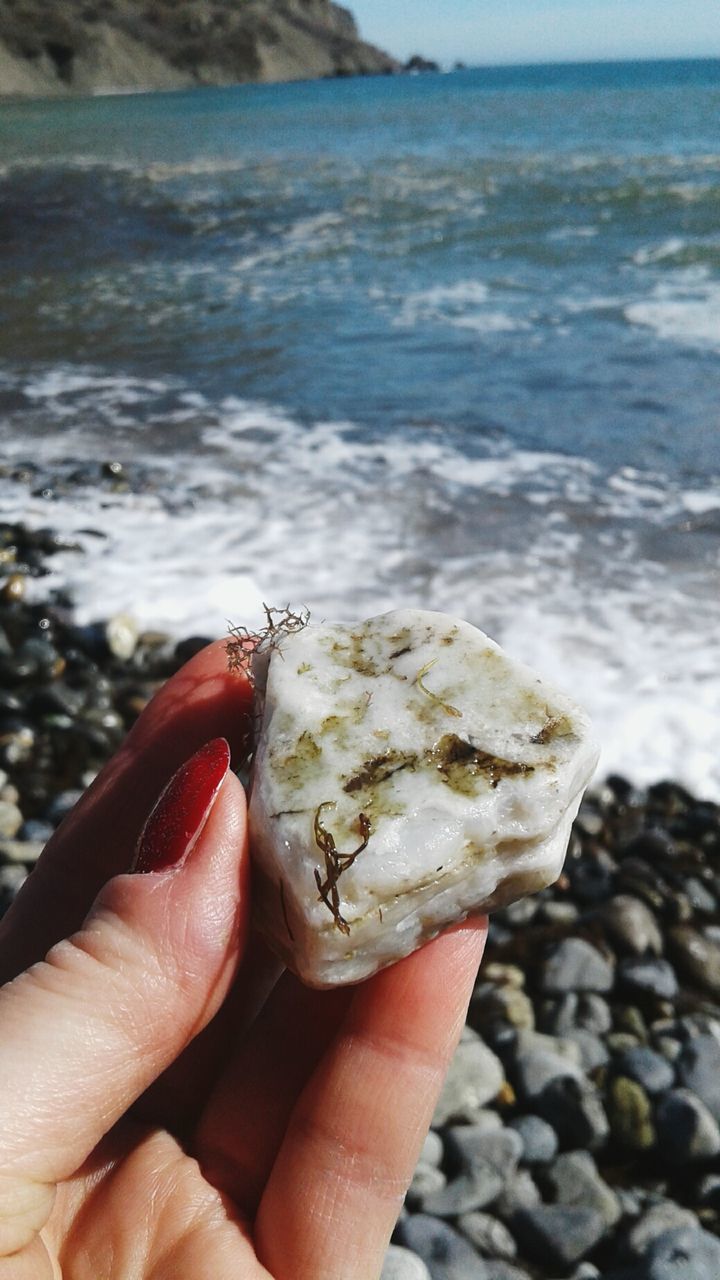 human hand, human body part, one person, sea, real people, human finger, holding, outdoors, beach, nature, one animal, close-up, day, rock - object, water, animal themes, beauty in nature, sea life, sky, people