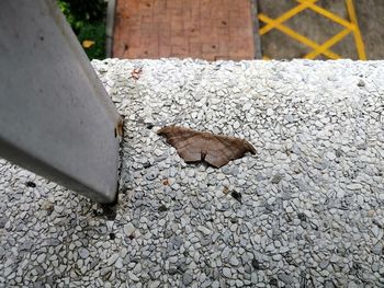High angle view of a zebra crossing