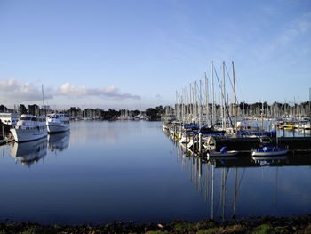 Boats moored at harbor
