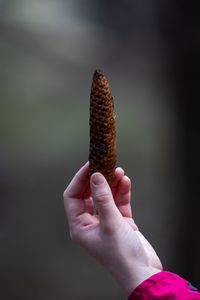 Close-up of hand holding ice cream