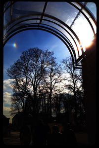 Low angle view of bare tree against sky