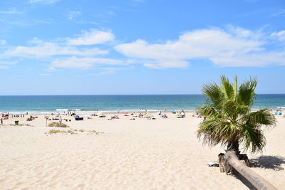 People enjoying at beach