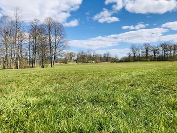 Scenic view of field against sky