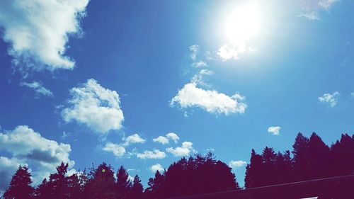 Low angle view of trees against blue sky