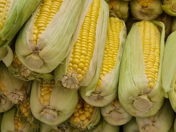 Full frame shot of vegetables for sale at market stall