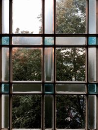 Trees seen through window