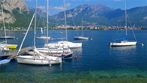 Sailboats moored on sea against sky