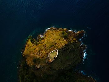 High angle view of rock on sea shore at night