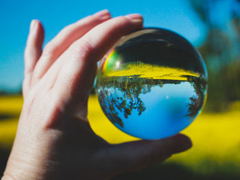 Close-up of person holding glass