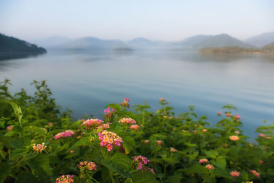 Scenic view of lake against cloudy sky