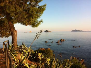 Scenic view of sea against clear sky