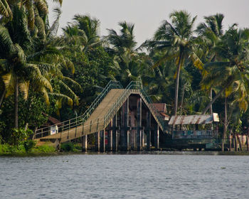 Scenic view of palm trees by building against sky