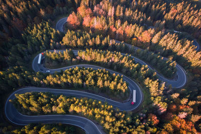 High angle view of road amidst trees during autumn