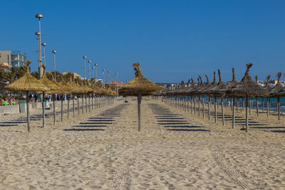 View of thatched beach umbrella in a row at beach