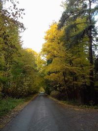 Road amidst trees during autumn