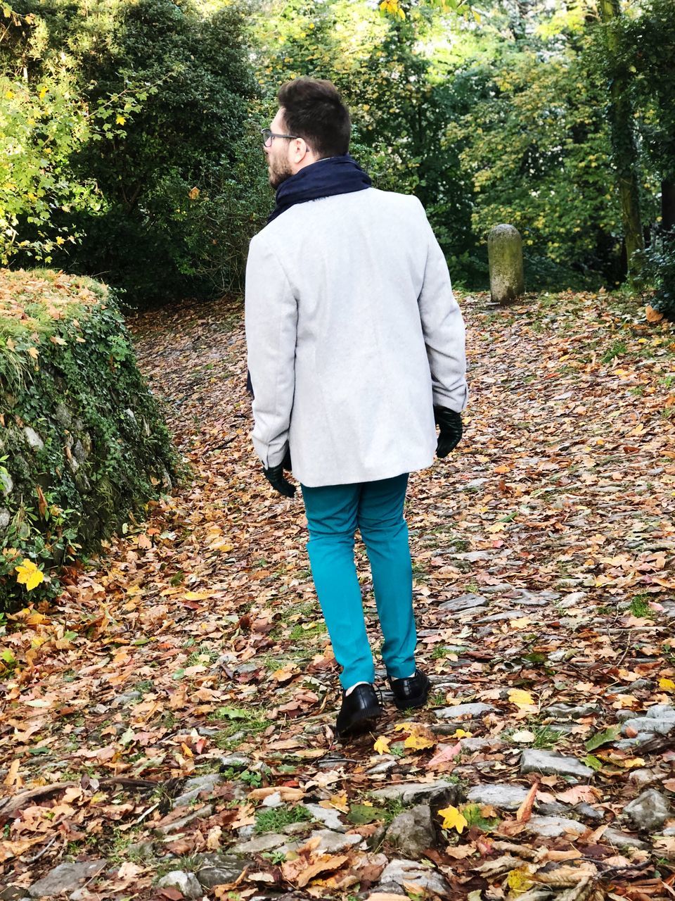 autumn, rear view, tree, plant, full length, one person, casual clothing, change, nature, real people, day, leaf, plant part, leisure activity, walking, men, lifestyles, outdoors, footpath, leaves, jeans