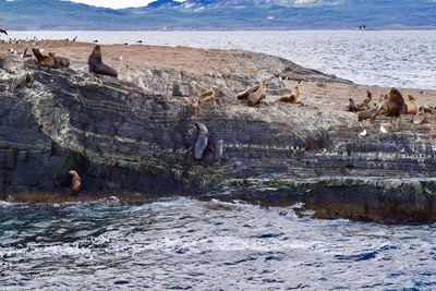 Scenic view of sea and rocks