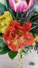 Close-up of orange flowers blooming outdoors