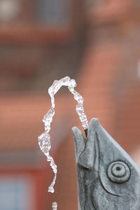 Close-up of fish shape fountain
