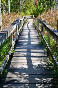 Empty wooden boardwalk trail through the woods