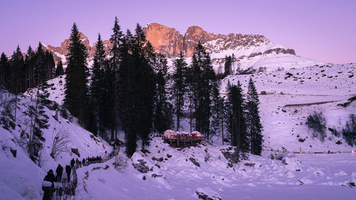 Pine trees on snow covered mountain against sky