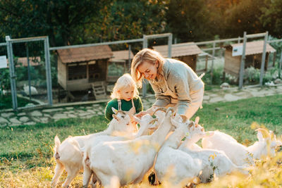 Mom and little daughter feed and care for goats on the farm.