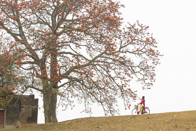 Rear view of woman walking on tree