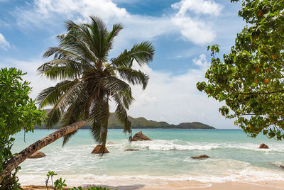 Beach landscape on tropical sandy beach, sea, summer, travel destination, exotic.