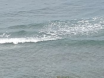 Full frame shot of sea shore
