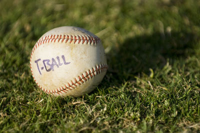 Close-up of tball baseball sitting in a field of grass
