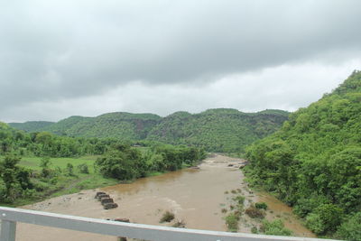 Scenic view of road amidst trees against sky