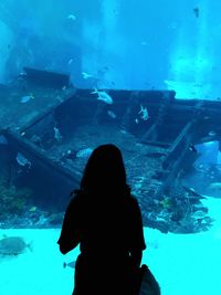 Rear view of silhouette woman swimming in aquarium