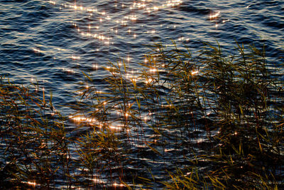 Full frame shot of rippled water