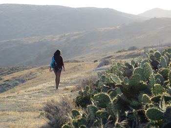 Rear view of man walking on mountain