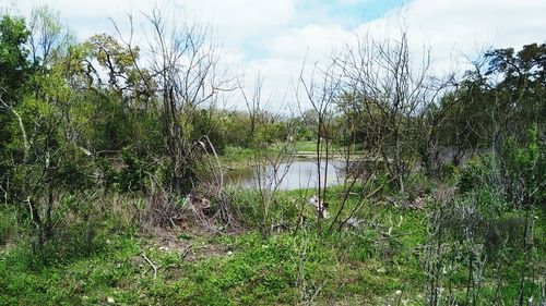 Scenic view of lake against cloudy sky