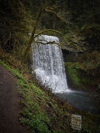 Scenic view of waterfall in forest