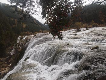 Scenic view of waterfall in forest