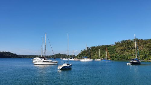 Sailboats in sea against clear blue sky