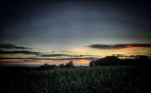 Scenic view of field against sky during sunset