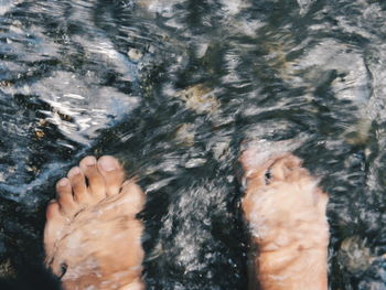 Low section of person standing in stream