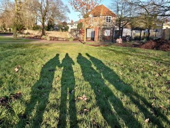 Trees on grassy field